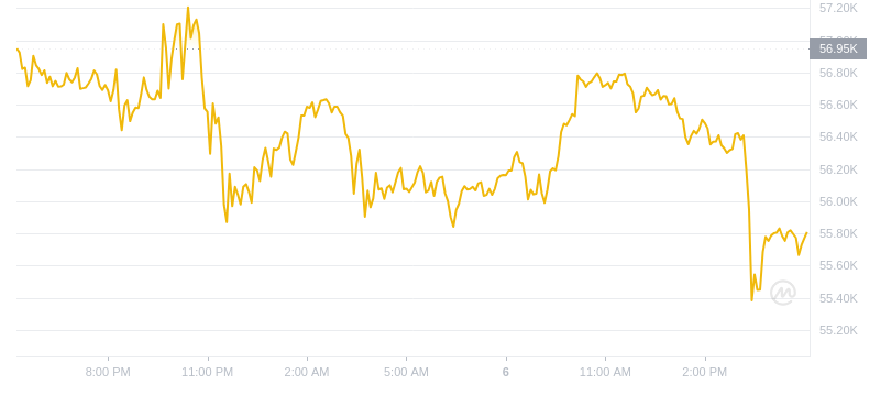 2024年09月06日比特币价格